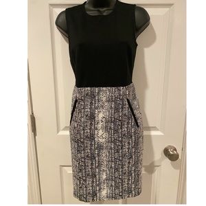 LOFT ➖ Sleeveless Dress